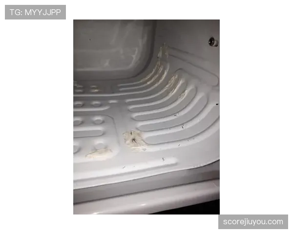 陈梦家的冰箱里居然塞满了能量胶？